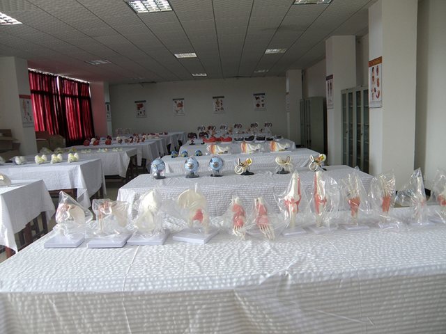 ����ְ��ҩ��רҵ����Ҫ��