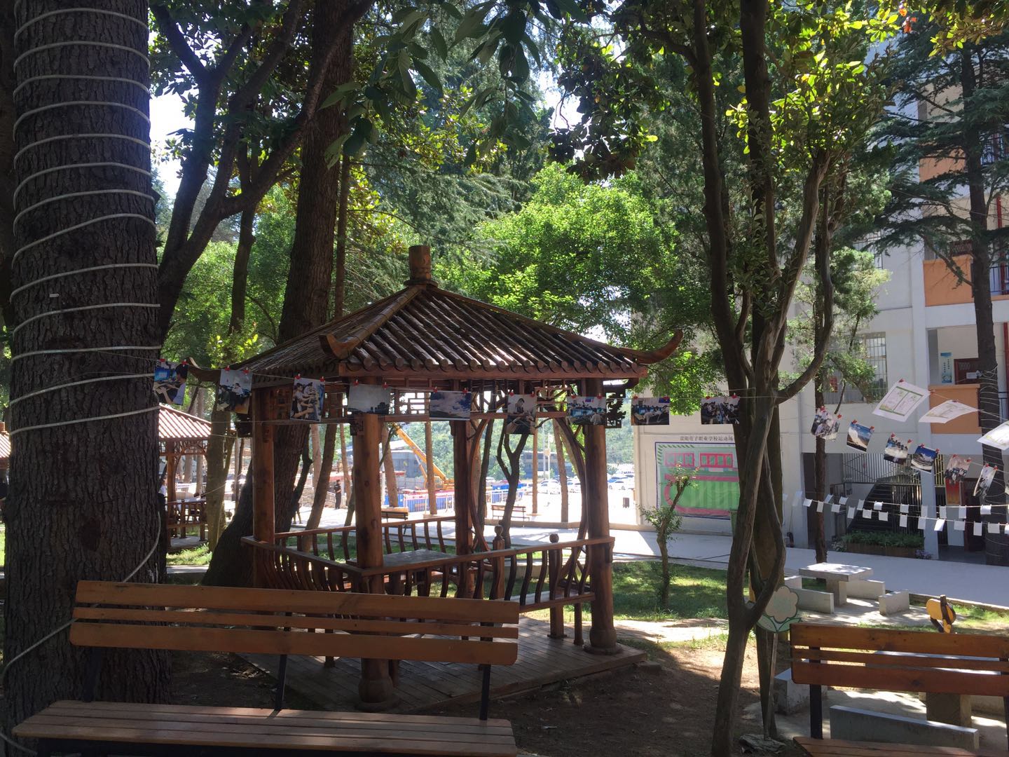 �Ϻ��п�ѧ��д����ͬ�����ĵ���� ���ؿ���Ժ�𸴣����ӳ�Ϯ